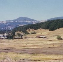 Parkland Farms Development