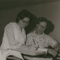 Summer Jobs with City of Healdsburg