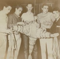 Pinata For Windsor Headstart