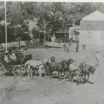 Clark Foss at Geysers Resort
