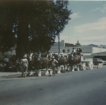 Draft Horses and Cart at Plaza