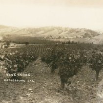 Vineyards