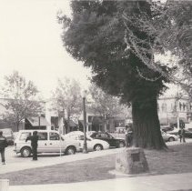 Northwest Corner of Plaza