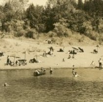 Beach at Brown's Grove
