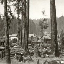 Lower Part of Guerneville