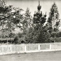 R. Abbey's Residence