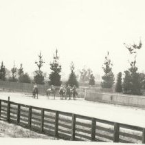 Park South of R. Abbey's Residence