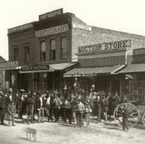 Auction Store, Santa Rosa