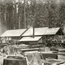 Murphy Bros. Sawmill