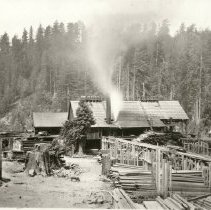 Heald and Guerne's Sawmill