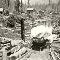 Heald and Guerne's Sawmill