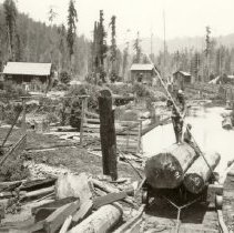 Heald and Guerne's Sawmill
