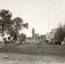 Main Street in Sebastopol