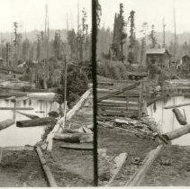 Heald & Guerne Logging Pond, Guerneville