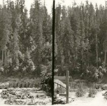 Russian River near Guerneville