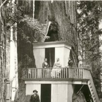 House in Guerneville Campground