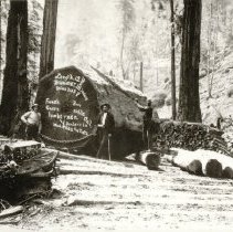 Redwood Log at French Bros, Guerneville