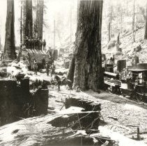 French Bros Loggers, Guerneville