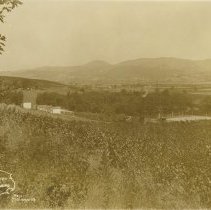 Pleasant View Farm, Near Healdsburg, Calif.