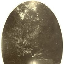 Moonlight on Sulphur Creek, The Geysers, CA