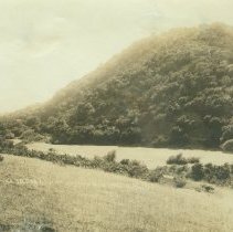 Russian River near Camp Rose