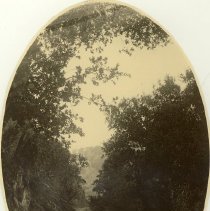 Dirt road through woods