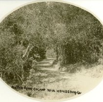 On Road to Camp Rose