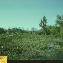 Healdsburg City Holding Pond,  No date