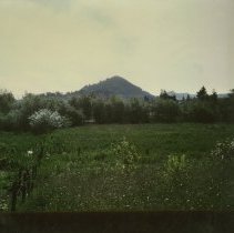 Healdsburg City Holding Pond,  No date