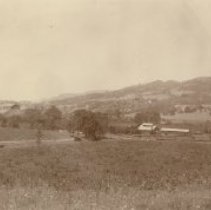 Asti Vinyard near Cloverdale.