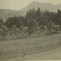 Petrified Forest Park - Mt. St. Helena