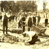 Healdsburg School Garden