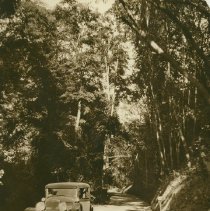 North Fitch Mtn. Rd. 1930