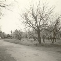 Magnolia Dr. looking South along river.
