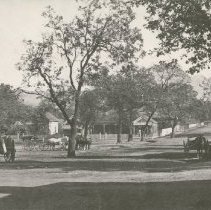 Norton's Office on the Plaza