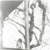 Haigh Mountain Ranch