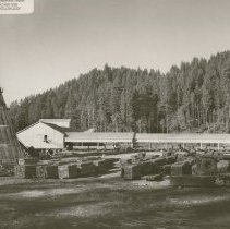 Timber Products Co. Mill