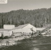 Timber Products Co. Mill