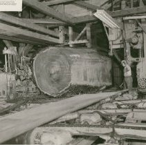 Bandmill Cutting Slab