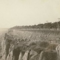 Santa Monica Palisades