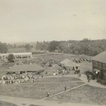 Picnic Day at University Farm