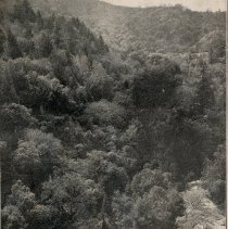 Geysers Hotel and Sulpher Creek