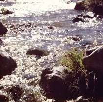 Warm Springs Creek or Dry Creek