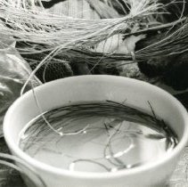 Native Plant Materials Soaking