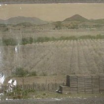 Aerial View of Gaddini/Wilson Winery