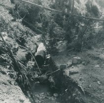 Erosion Following Logging on Hall Ranch