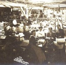 Canning Peaches in Healdsburg