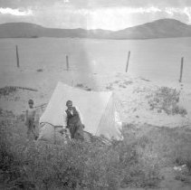 Negative, Sheet Film