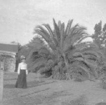 Negative, Sheet Film