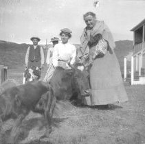 Negative, Sheet Film